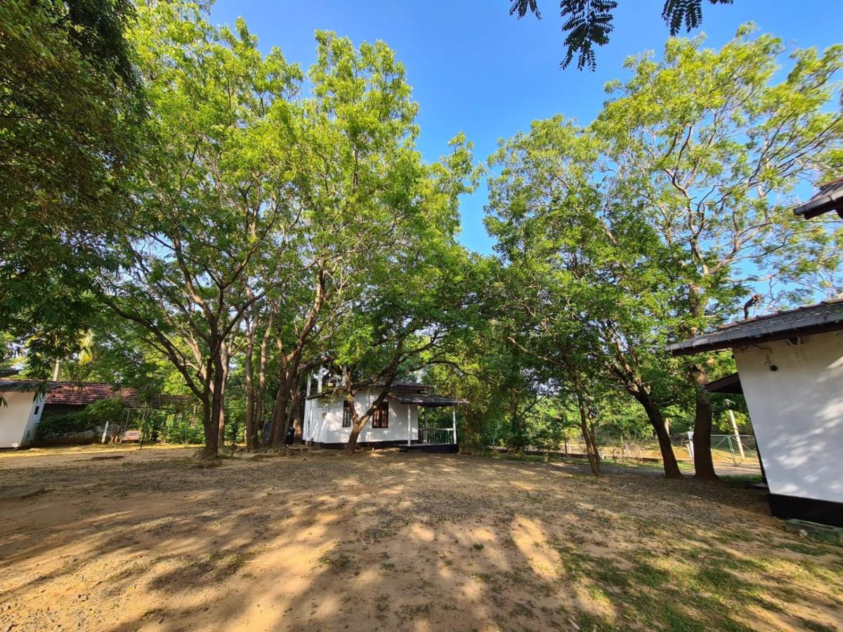 Katagamuwa Rest Hotell Kataragama Eksteriør bilde