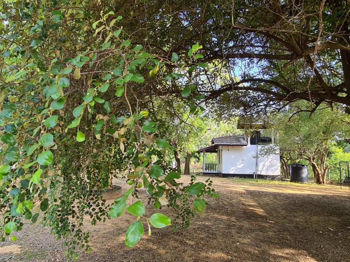 Katagamuwa Rest Hotell Kataragama Eksteriør bilde